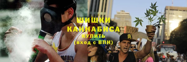 крисы Горно-Алтайск