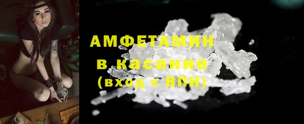 трава Пересвет